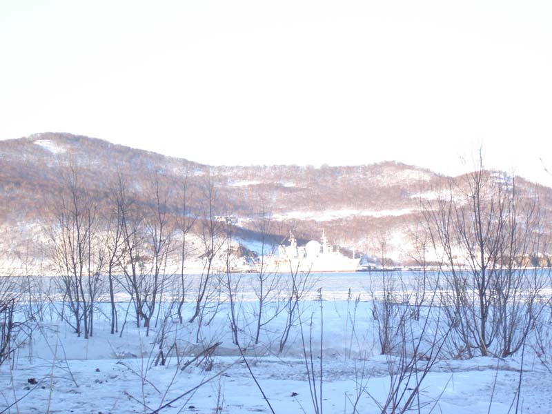 DSC05282